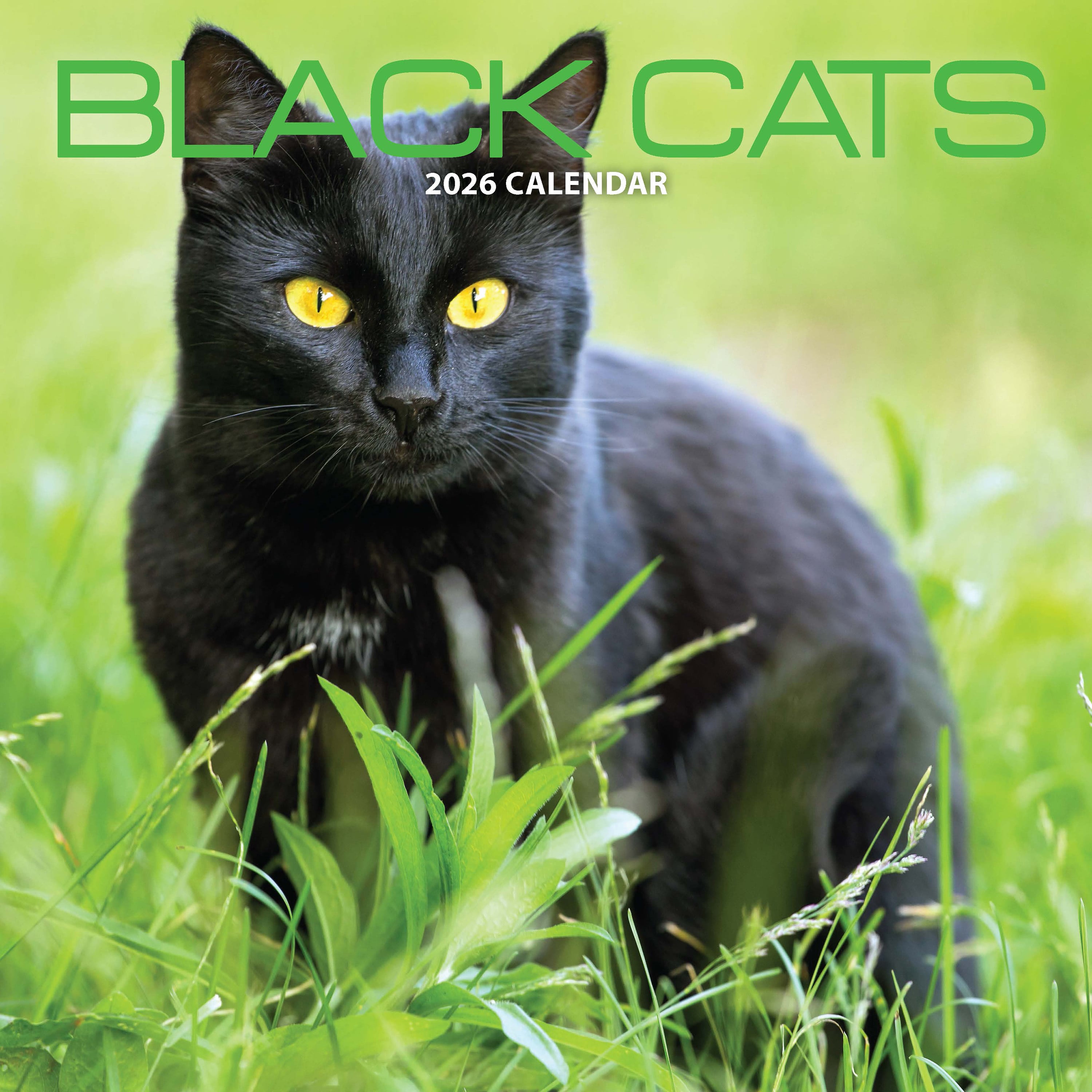 【2026年版】英国製カレンダー【黒猫】2026年版