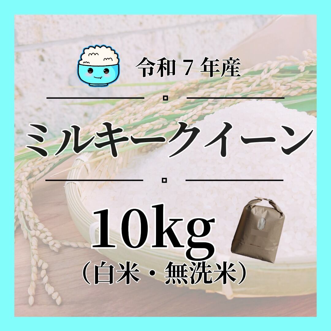 3年産うるち白米 米 お米 雪若丸 600g (4合) ゆきわかまる 令和6年産 山形県産