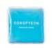 予約【songpyeon】Ice pack