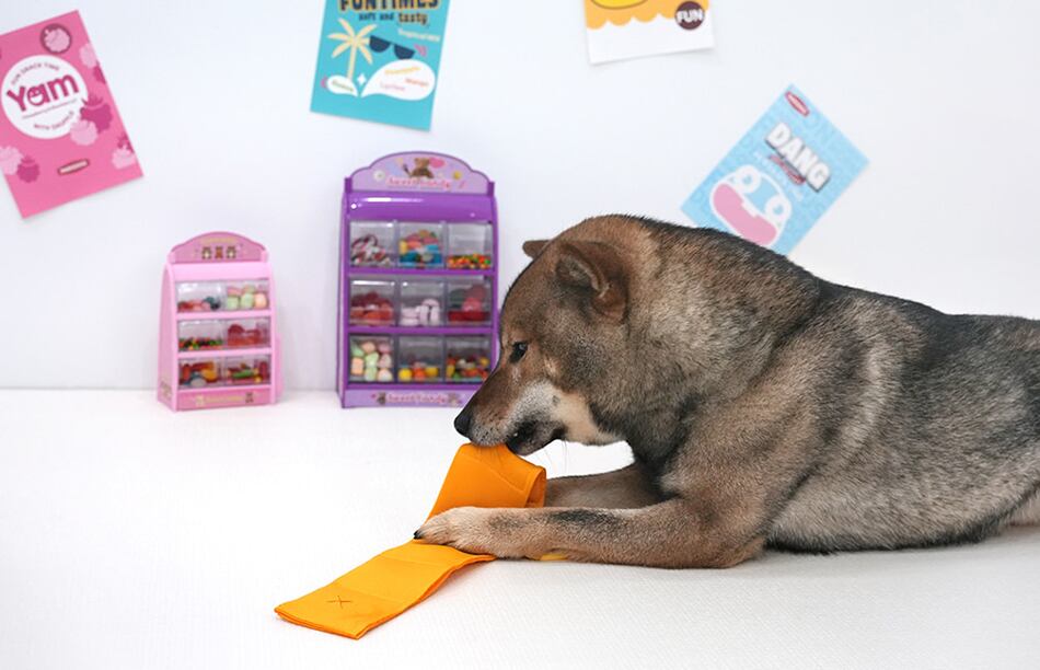 jellychu pocket toy / ペット 犬 おもちゃ カシャカシャ 知育玩具 ノーズワーク おやつ隠し 可愛い わんちゃん おもちゃ ストレス解消 toy16