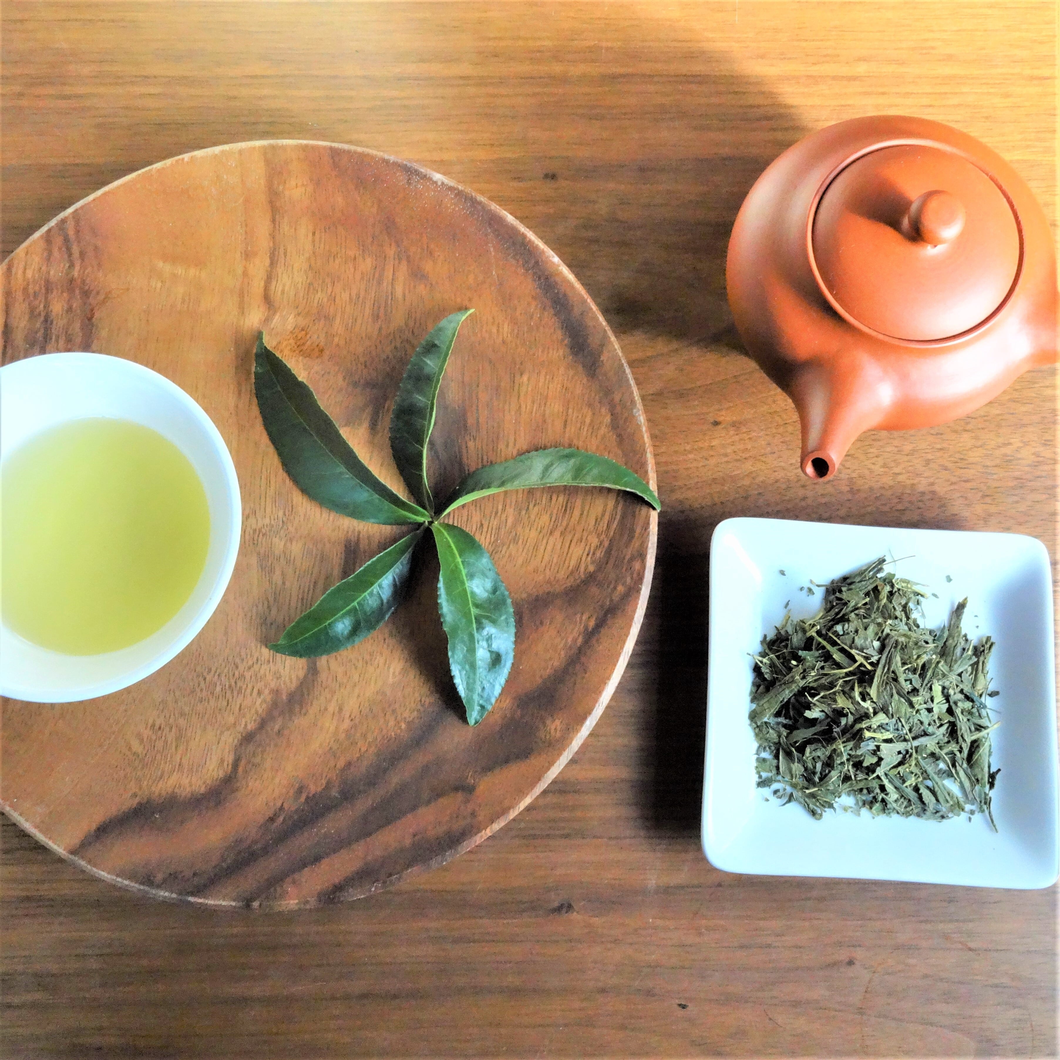 【かりめろ様】専用・茶300g×2袋≪フォロー割特価≫ 2026新茶 春煎茶【碧】 お買い得 300g 【5月下旬収穫分】 | 森井