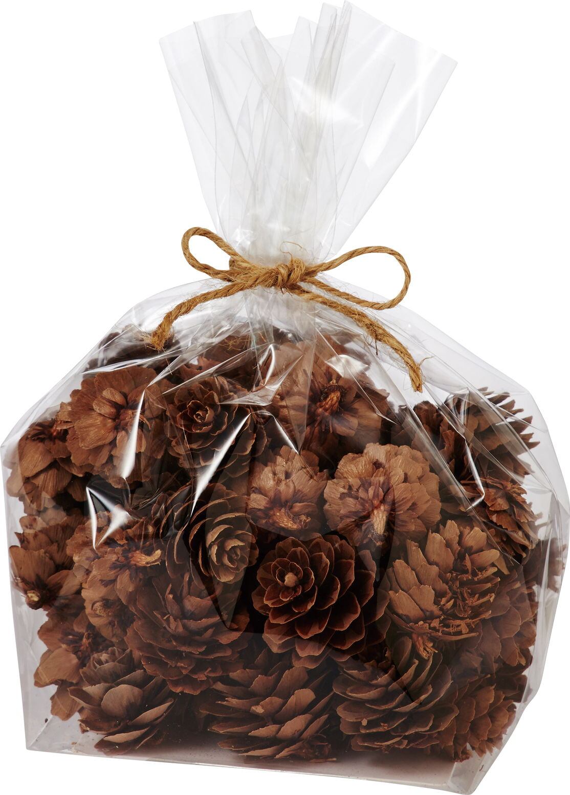 パインコーンパック　　MCY-0263　4961823766831　フラワーベース