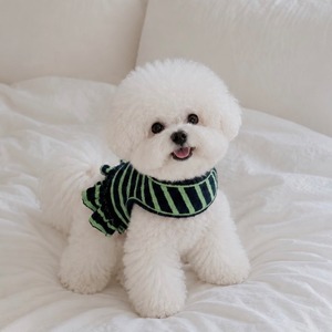 予約販売　保冷剤ポケット付き　Terry stripe frill harness (Green) （保冷剤入り）　韓国犬服　ounce（旧　AUGUSMON）　