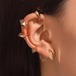 レトロゴシックな爪フックピアス/ゴールド・シルバー 수납