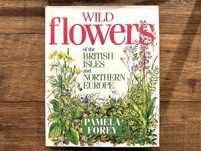 【VW165】Wild Flowers of the British Isles and Northern Europe Forey, Pamela /visual book