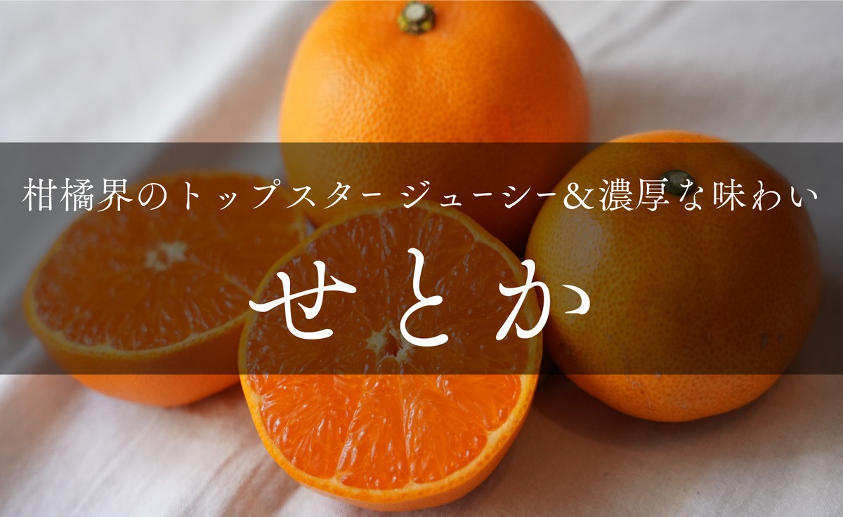 島のせとか（ハウス栽培） 1kg〜10kg | わらしべ。