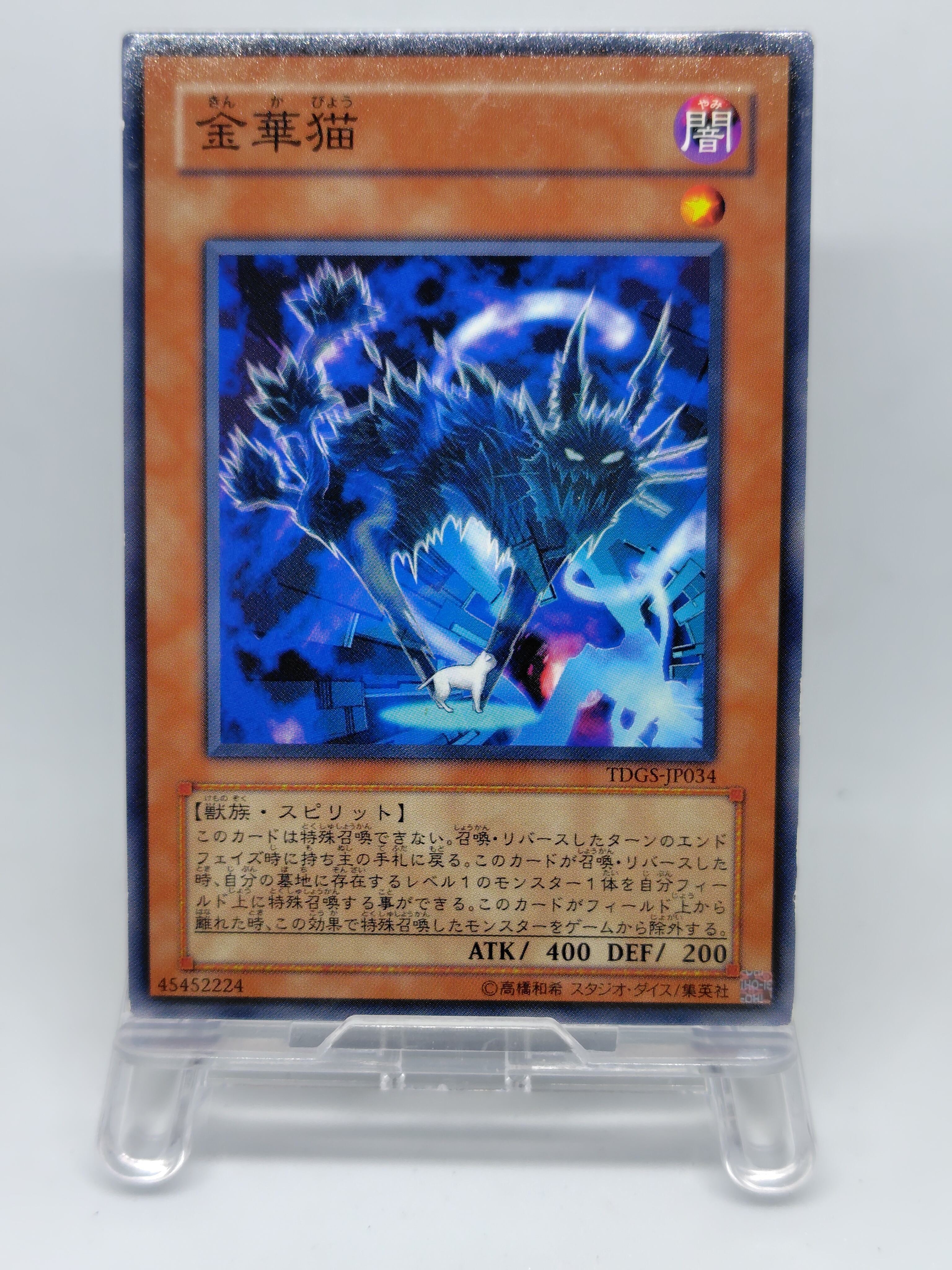 金華猫【TDGS-JP034】[N]