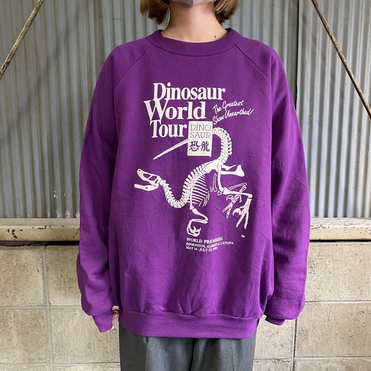 プリント生産国90年代 DISNEY LAND 35 YEARS OF MAGIC プリントTシャツ USA製 メンズM ヴィンテージ /eaa346153