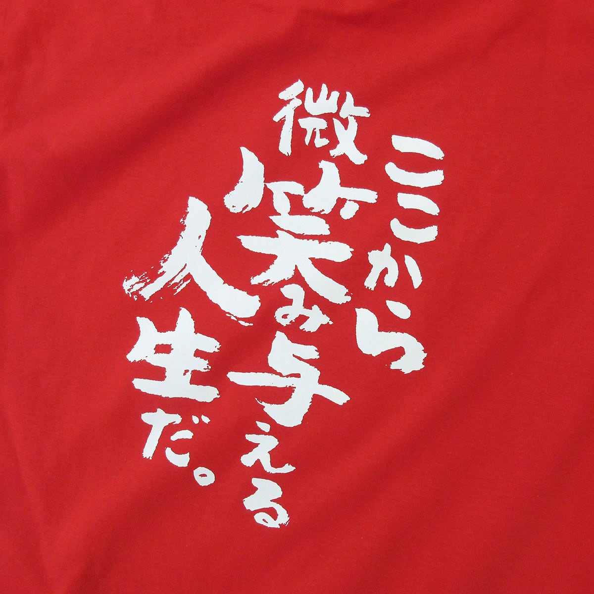 おかげ様で笑顔で迎えた六十歳 還暦祝い Tシャツ ka300-83