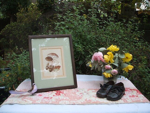 english antique mushroom original print  イギリス　アンテチィークプリント　きのこ　１８９０年代