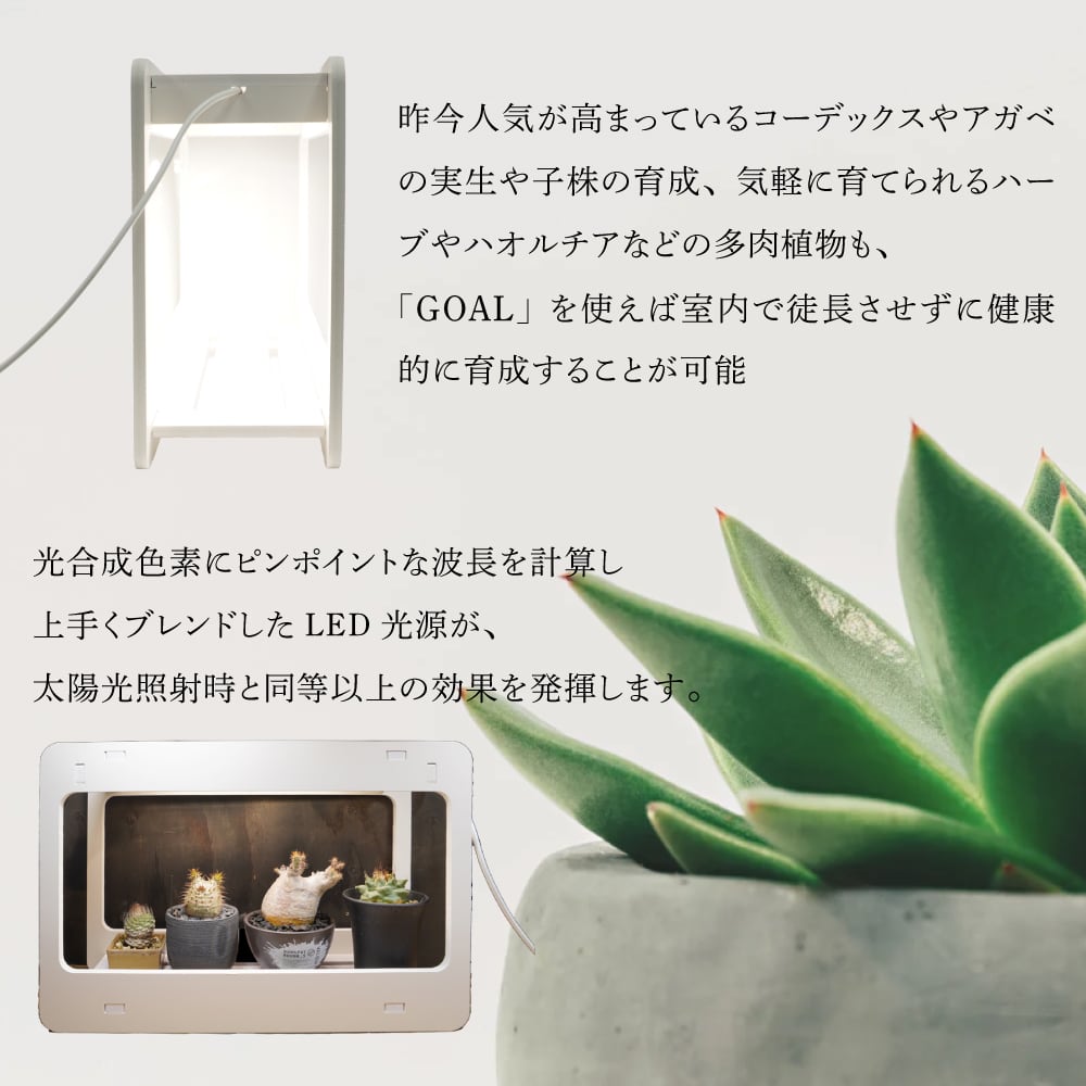新商品 植物育成LEDライト GOAL 実生 種まき ハオルチア コーデックス