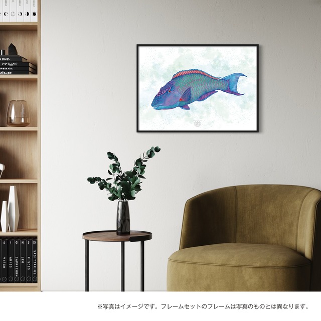 【海のいきものアートポスター／魚】イロブダイ
