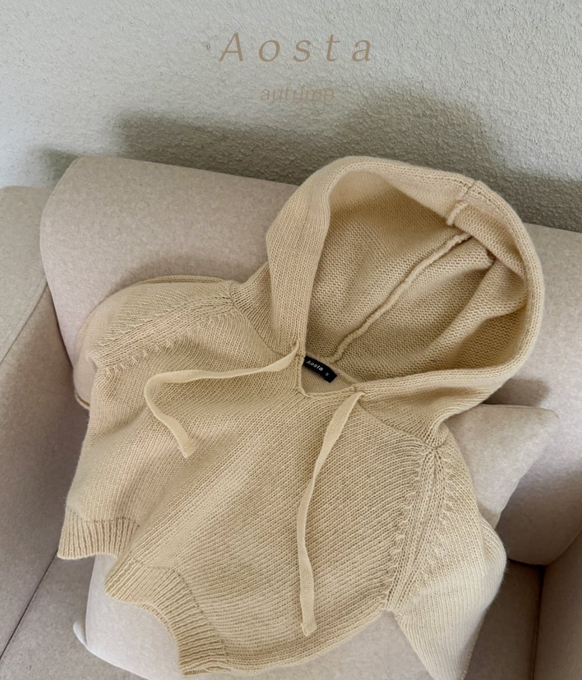 送料無料【予約】/ ニットクッキーフード / aosta