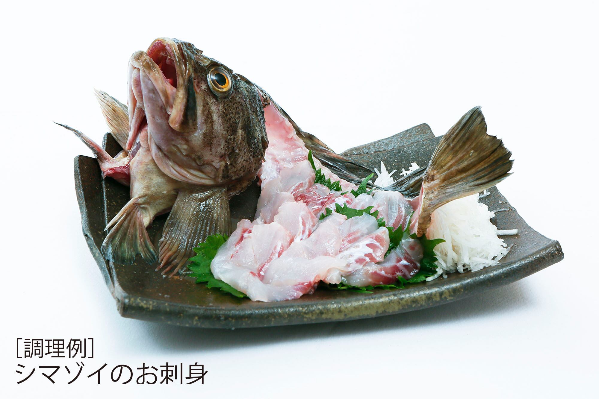 船上活〆一本釣り 鮮魚セット 約5kg おうちで釧路 北海道いいもの直送便 船上活〆一本釣り 鮮魚セット 約5kg おうちで釧路 北海道いいもの直送便