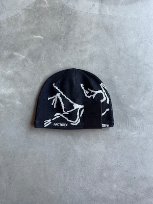 ARC`TERYX【Bird Head Toque/バードヘッドトーク】