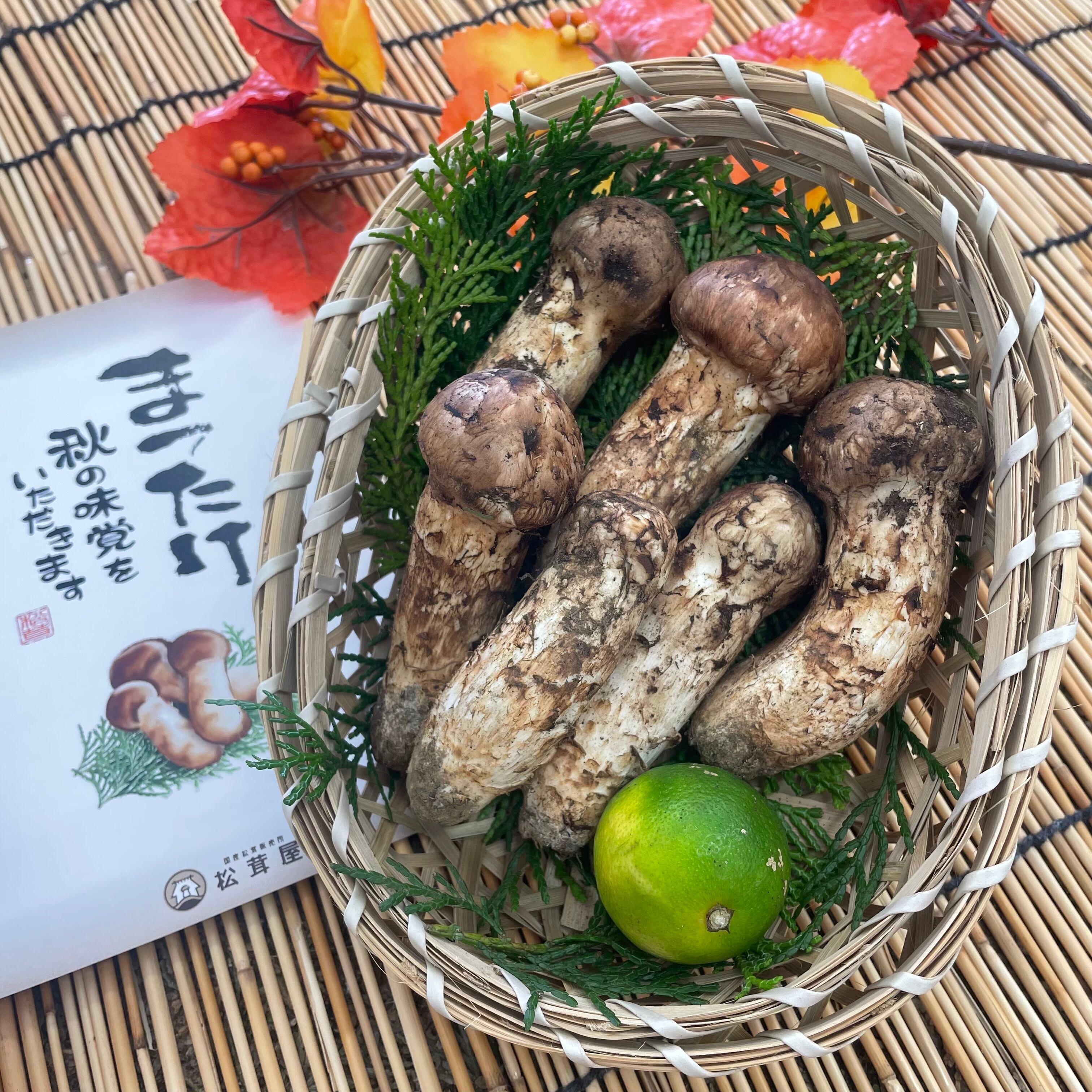 岩手県産松茸?ご理解のある方にお願いします - 野菜