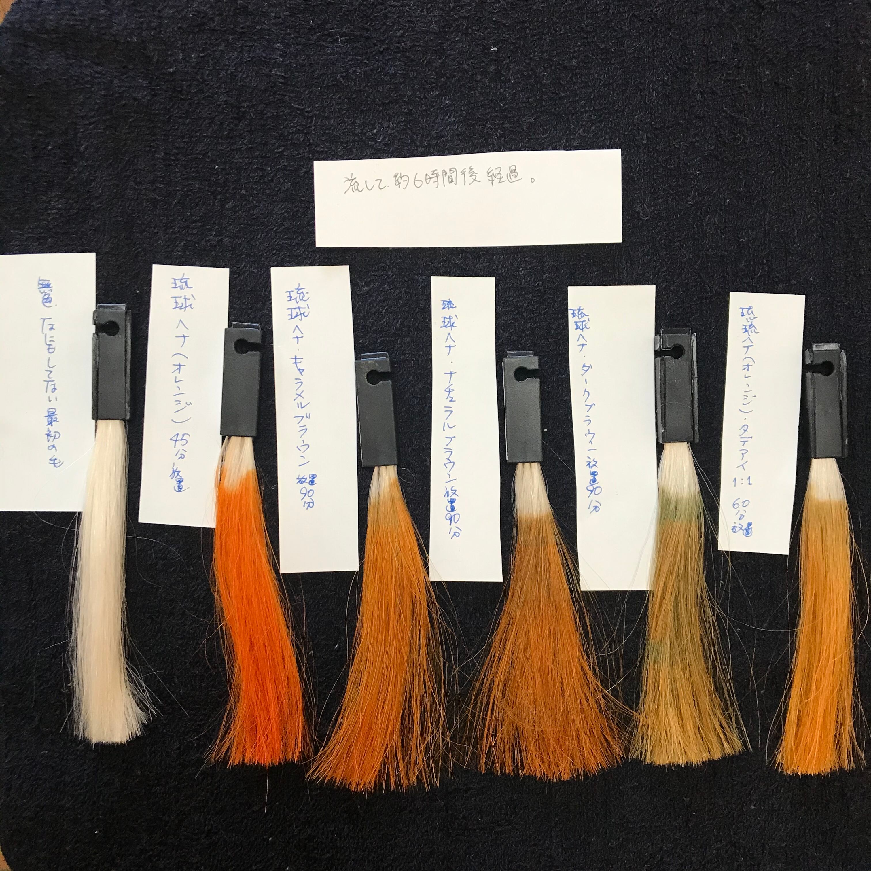 純国産蓼藍　藍里フルオーガニックスパカラータデアイ　100g ヘナセット 0da0129b2cdfe1f269b338f0c251de