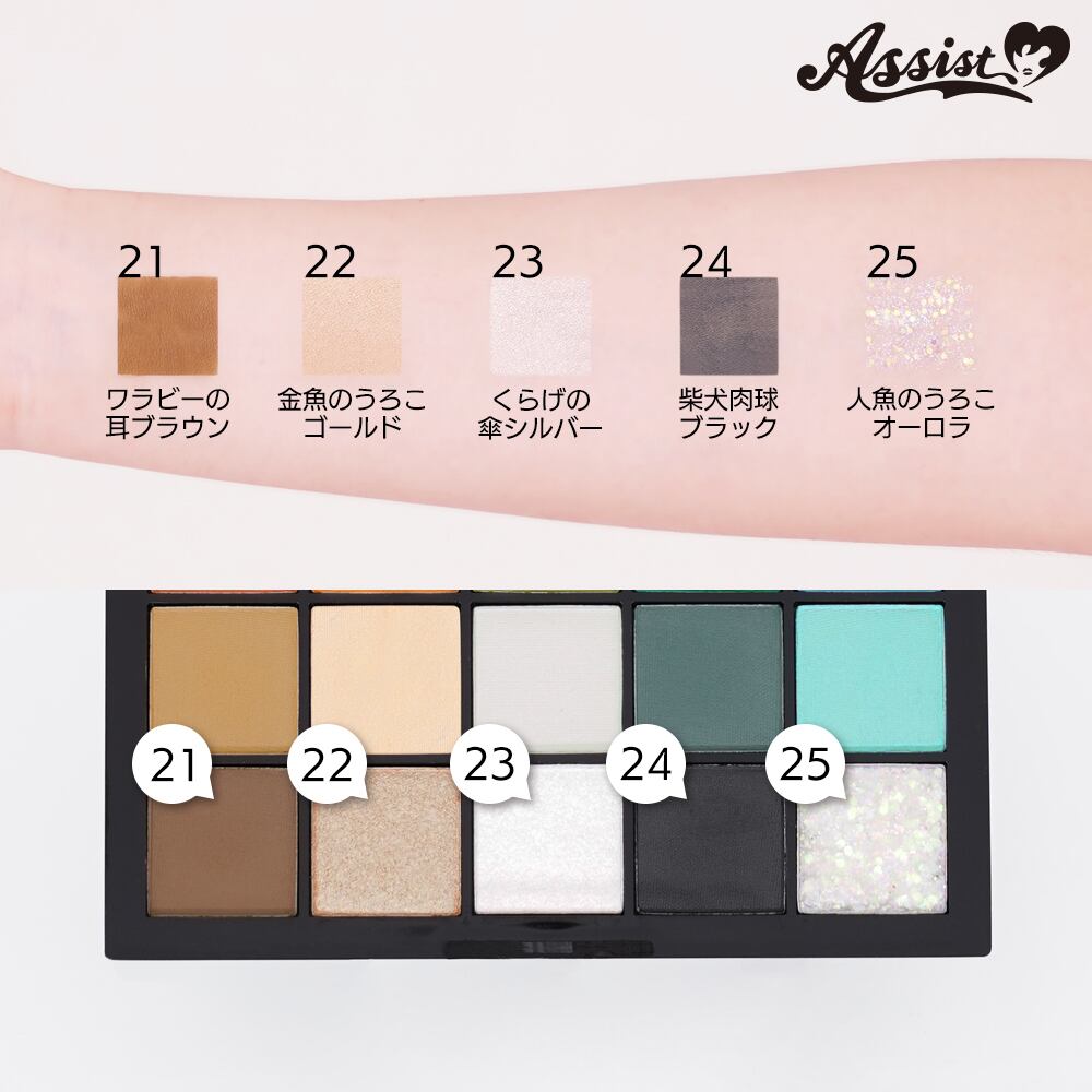 アシストウィッグ【25色メイクアップパレットAS】アシストオリジナル