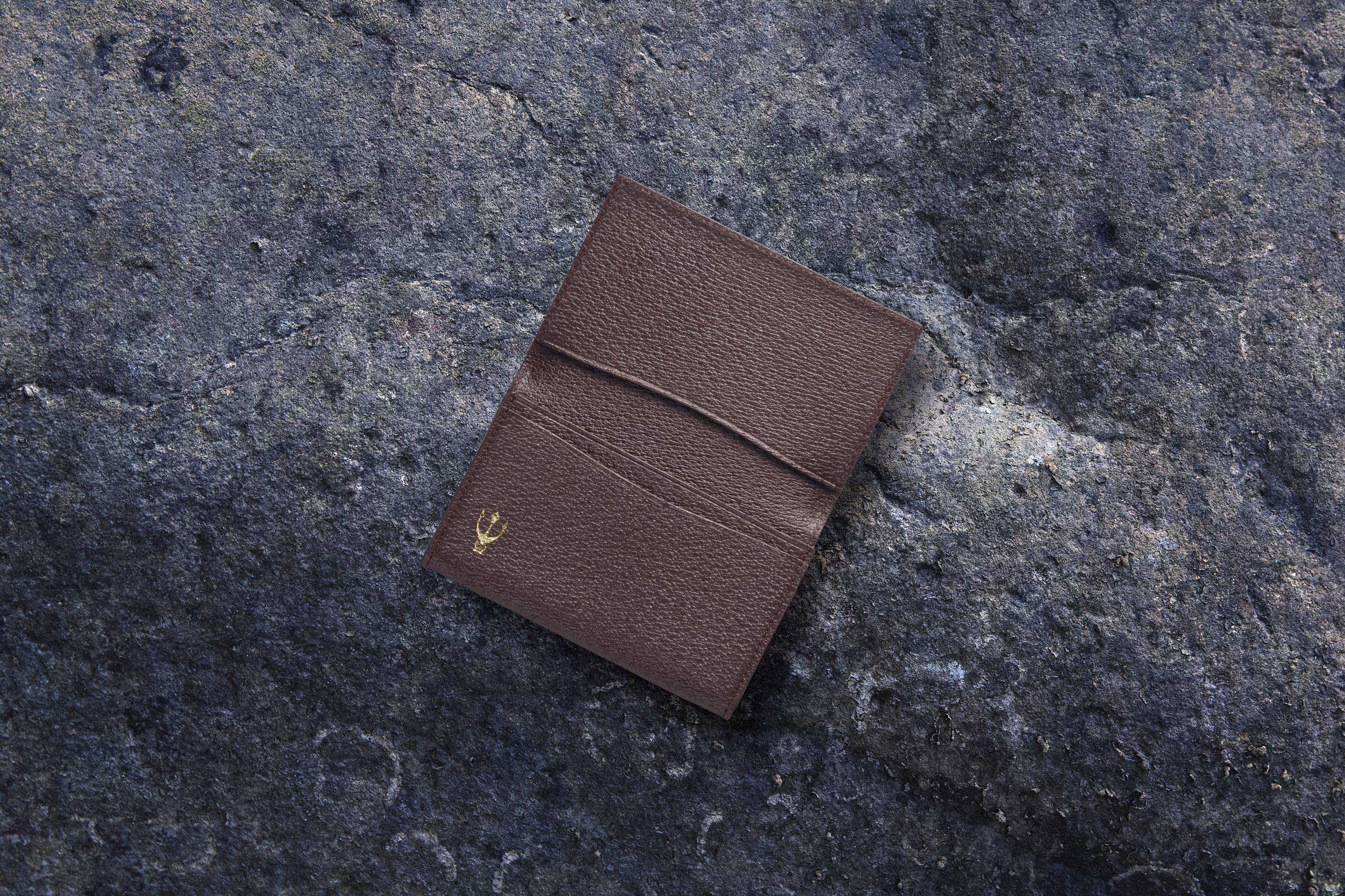 国産イノシシ革】カードケース Brown【STY original model