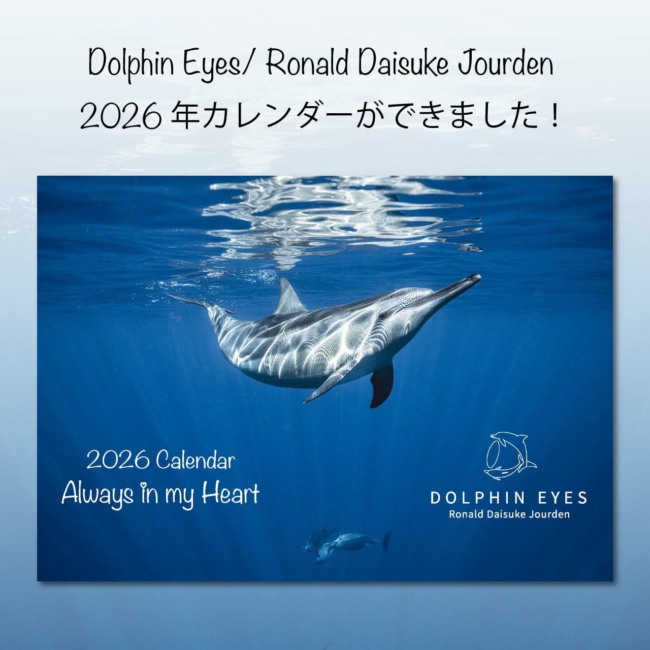 DOLPHIN EYES 2026年 カレンダー 『 Always in my Herat 』 イルカ