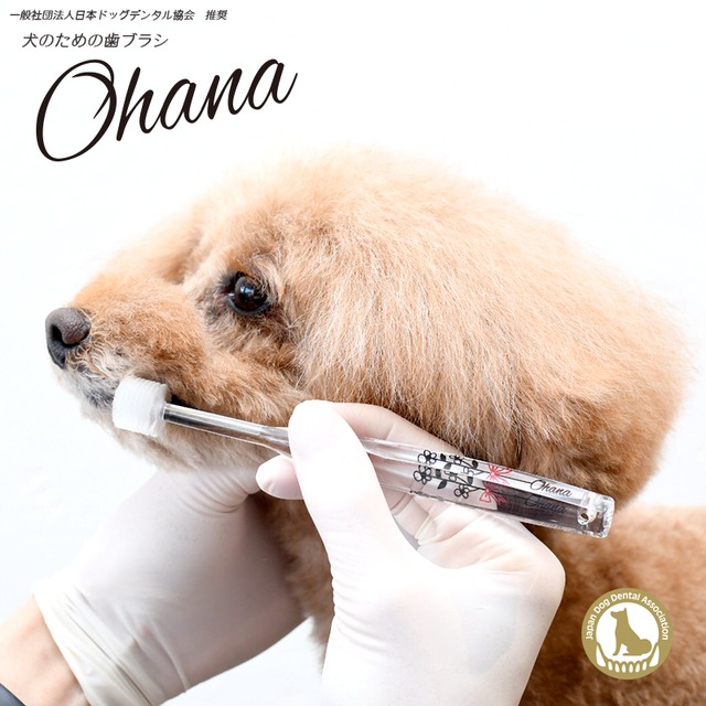 犬の歯ブラシ「Ohana」1本～