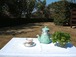french vintage pretty demitasse cup フランス　ヴィンテージ　デミタスカップ　エスプレッソカップ
