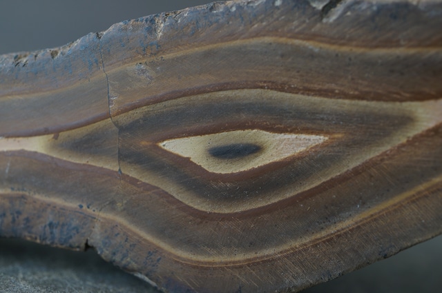 モロッコ産ストロマトライト Stromatolite 2211