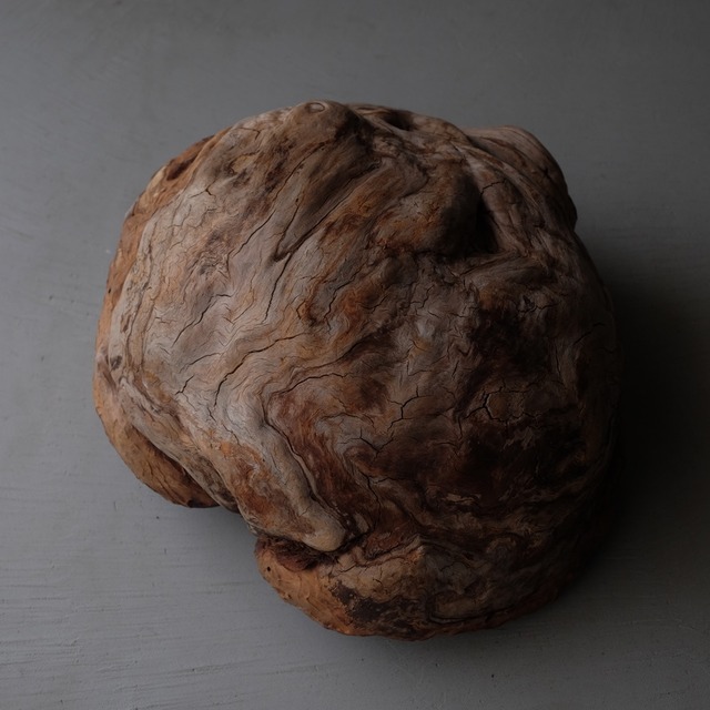 Tree burl
