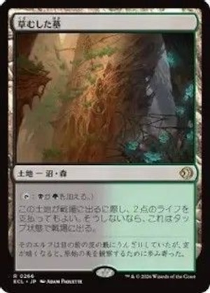 MTG《草むした墓/Overgrown Tomb(ECL)》日本語 Foil