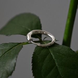rose ring 01