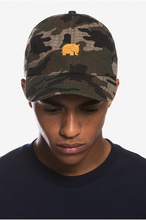 Camo Cap