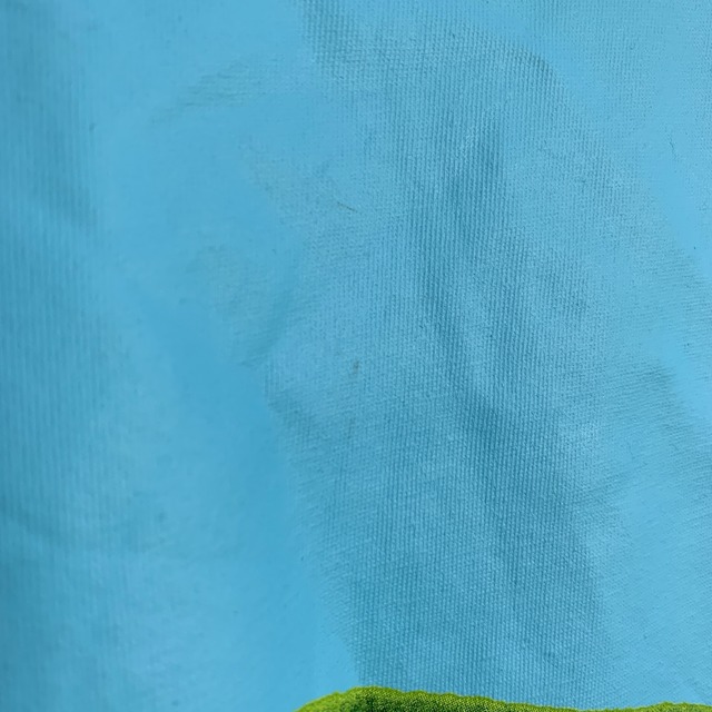 Kermit カーミット プリントロンT キャラ マペット M パープル カエル