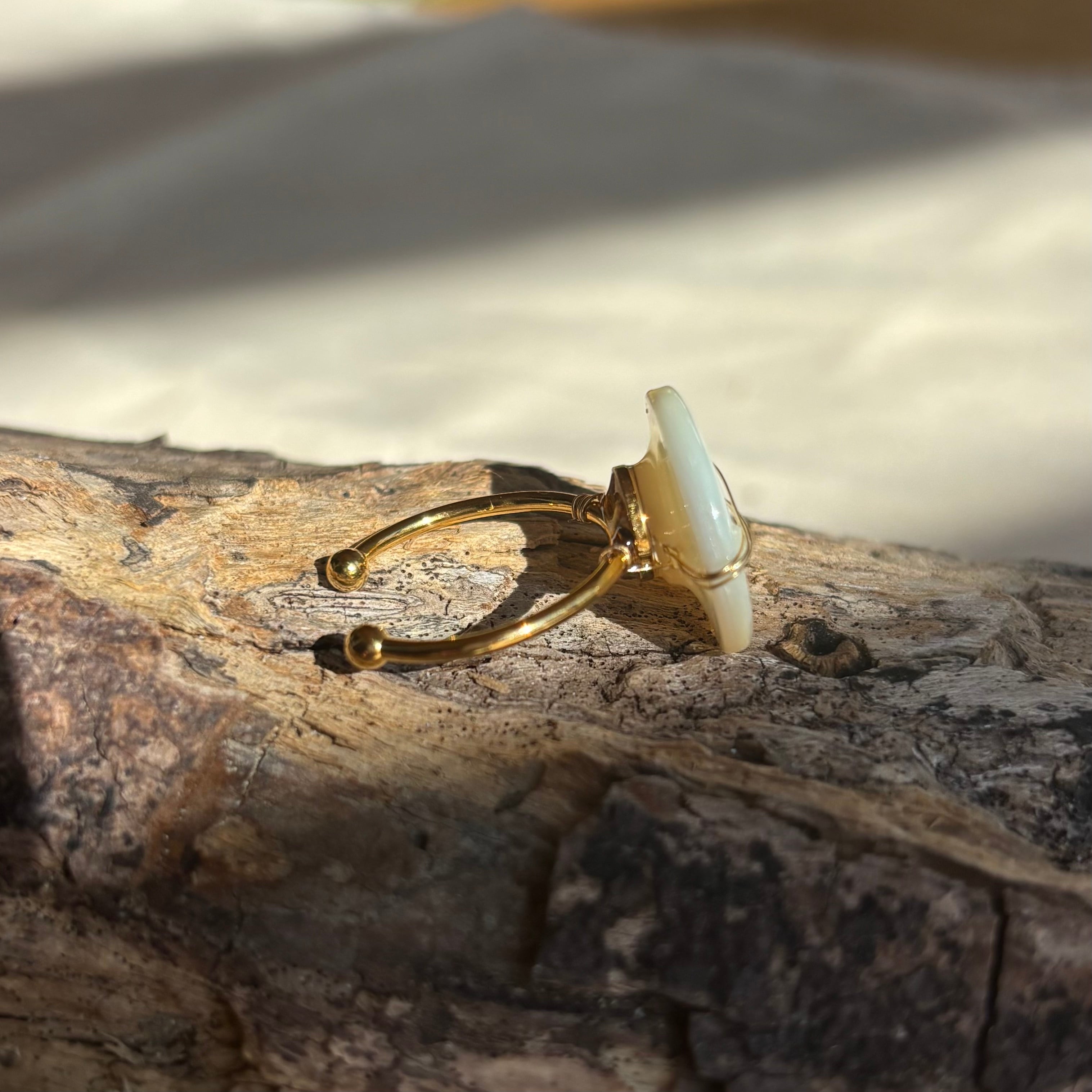 白蝶貝 マザーオブパール リング 真珠の母貝 14KGF 1点モノ サイズ