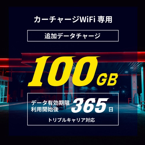 【データチャージ】100GB