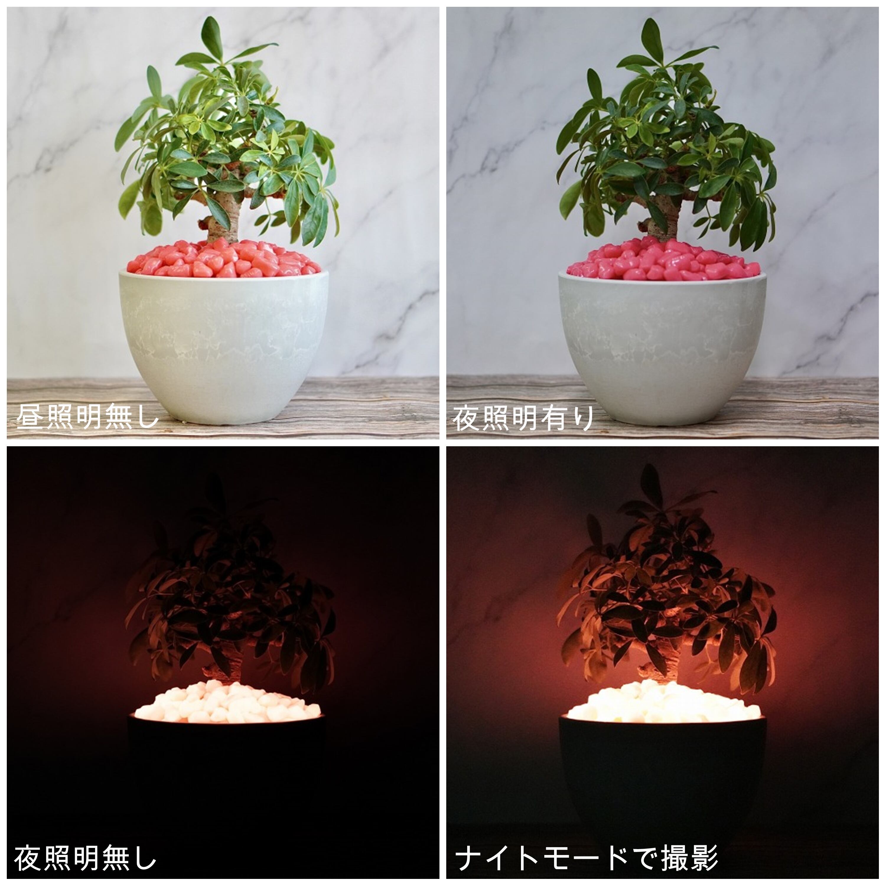 h&o 鉢 植木鉢 畜光 h&o 鉢 植木鉢 畜光