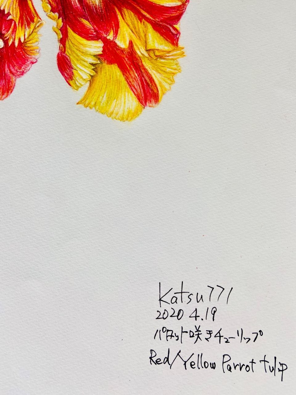 チューリップの絵※原画※真作※直筆サイン入り チューリップの絵※原画※真作※直筆サイン入り チューリップの絵※原画※真