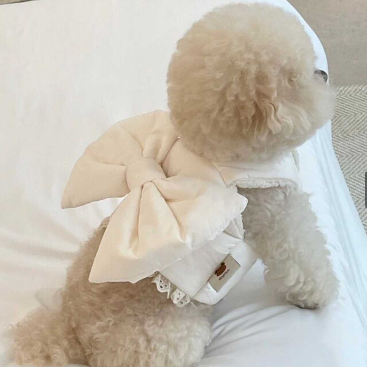 即納【meaningless】Ribbon Padding Harness(Ivory)サイズSM