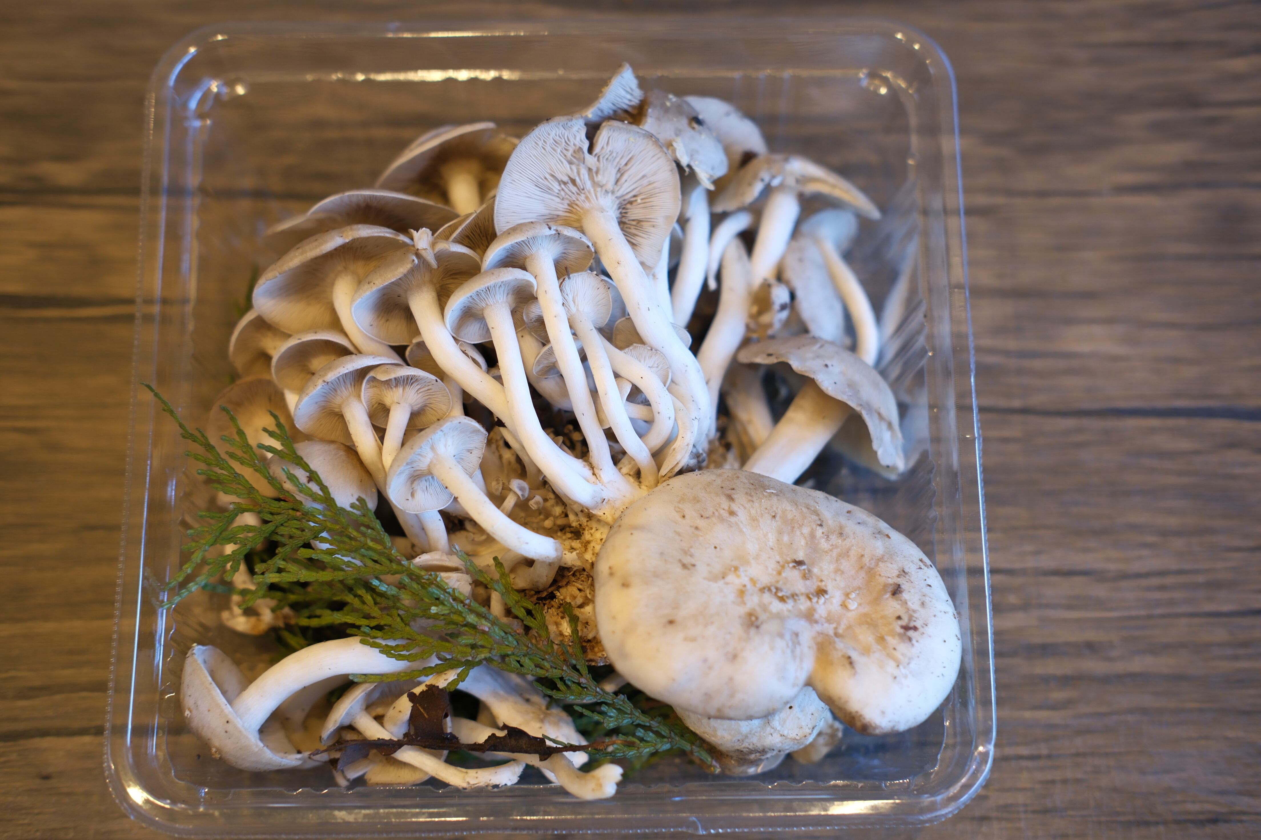 まつしまストアーオンライン