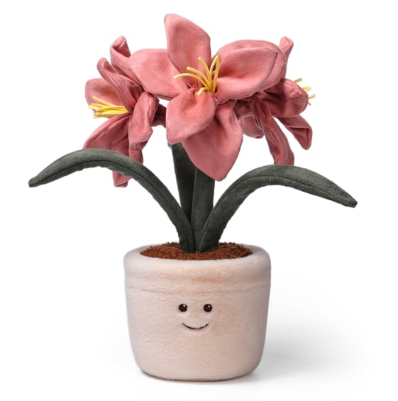 Sand Beige Striped Lily_MC300314A