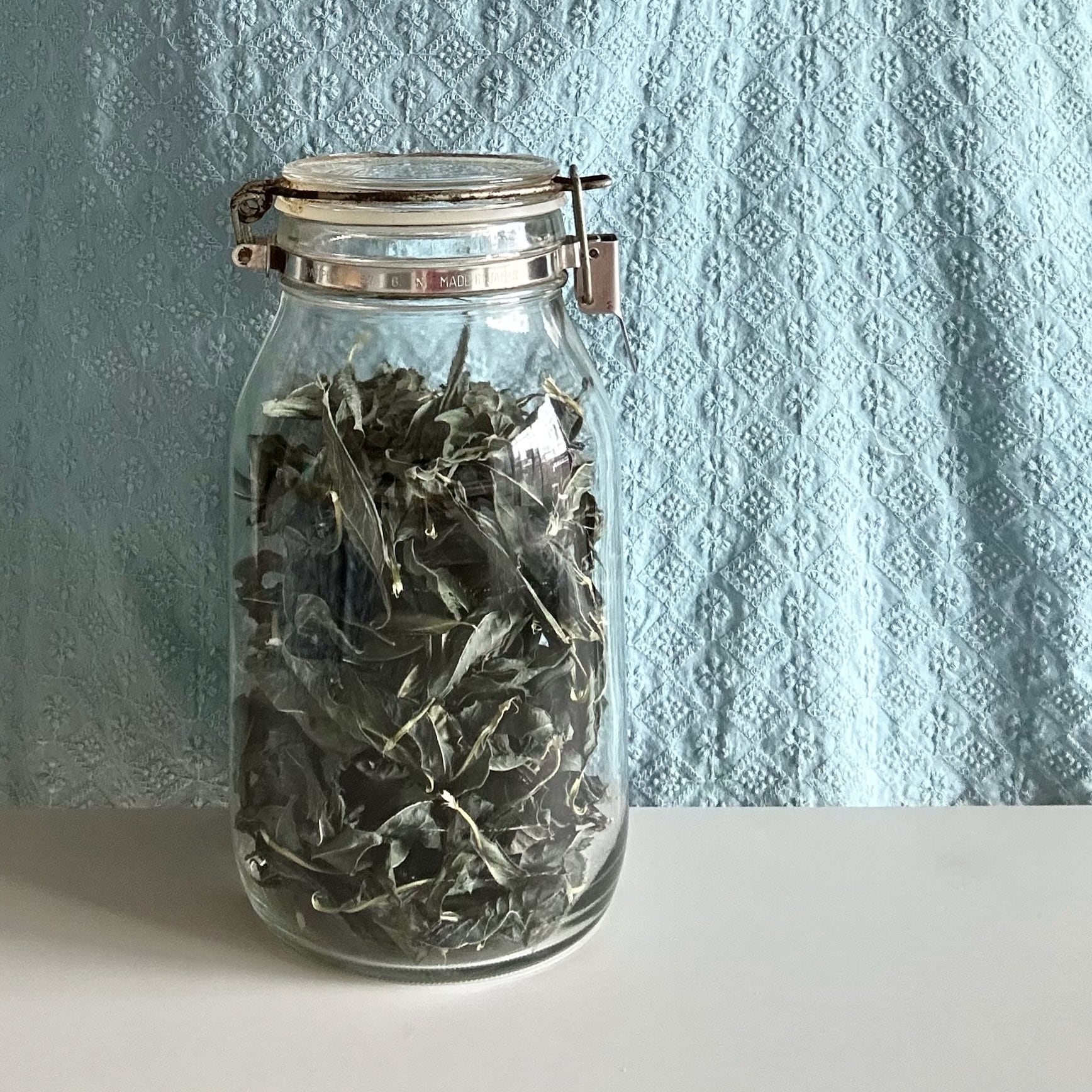 藍の乾燥葉｜2025年8月収穫分〈50g〉 | varp + väft