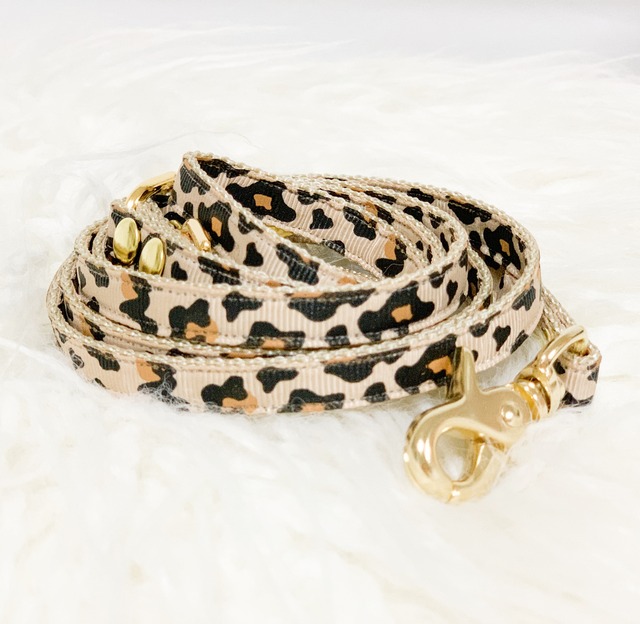 Leash(Leo)