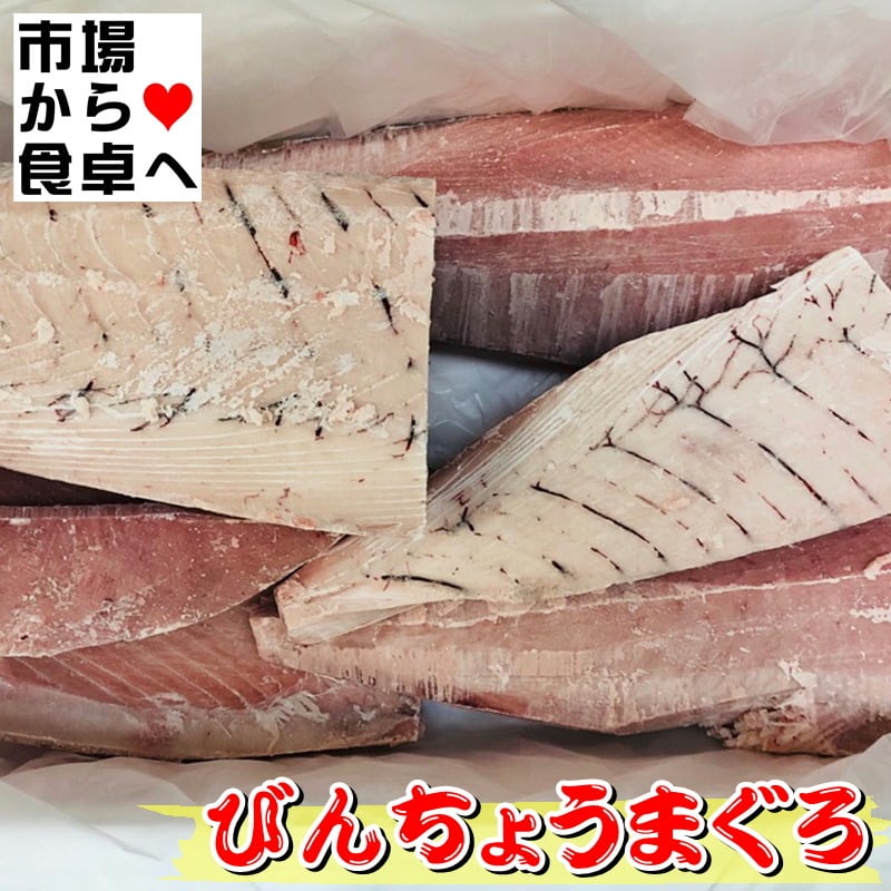 びんちょうまぐろ 10kg(約8本入り)【業務用びん長鮪・スキンレス】お