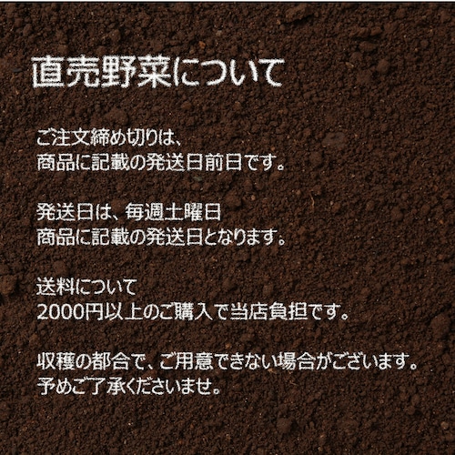 9月の朝採り直売野菜： さつまいも　約1～2本　新鮮な秋野菜 　9月26日発送予定