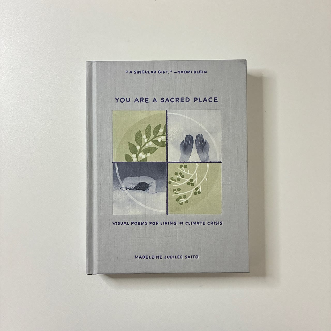 □ コミック＆グラフィック・ノベル | 素敵な洋書の絵本のお店 Read