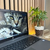 \ 公式ショップ限定価格❣️/ 光学ドライブ搭載《バッテリー極上》HP 250 G7 メモリ8GB SSD128GB 15.6型 第7世代 ノートパソコン 安心サポート&3ヶ月保証付き