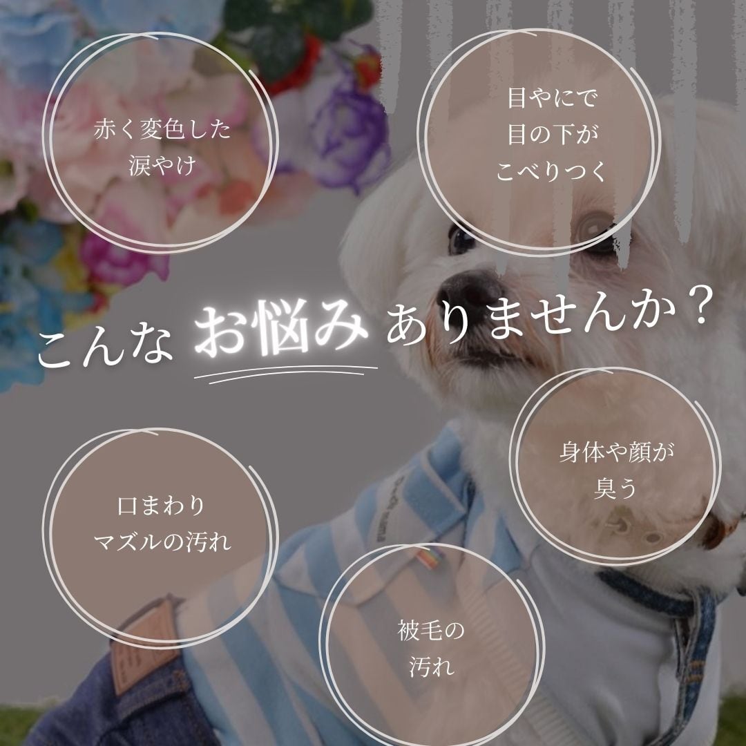 ケア用品 | ペットフード・トリーツ・ケア用品の通販 | Wanliebe