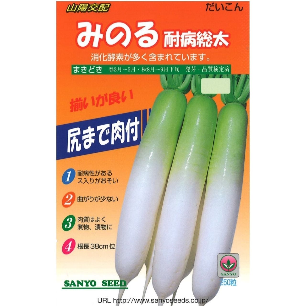 山陽交配　耐病総太り大根　みのる（200粒）