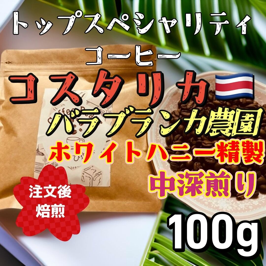 自家焙煎コーヒー豆 ホンジュラス エル・ピノ農園 最高規格SHG 中煎り