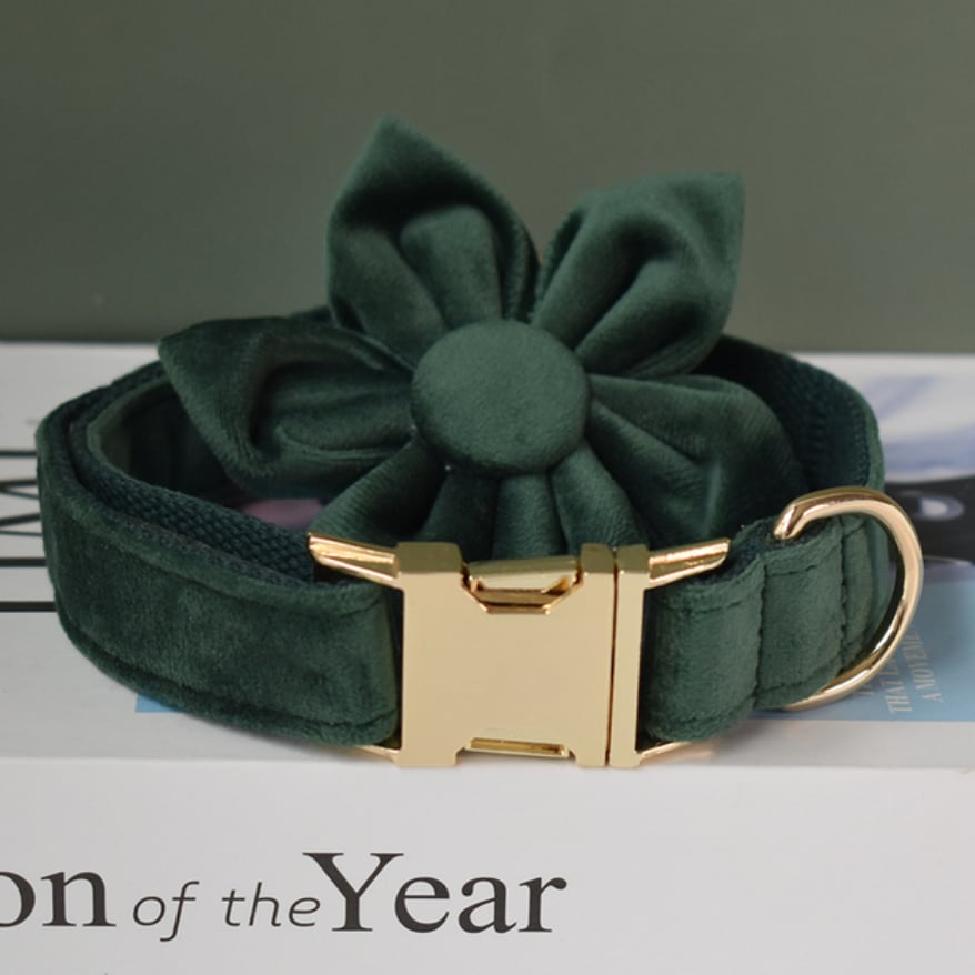 【お花シリーズ】ダークグリーン×ベロア迷子札刻印サービス・犬用首輪&フラワー