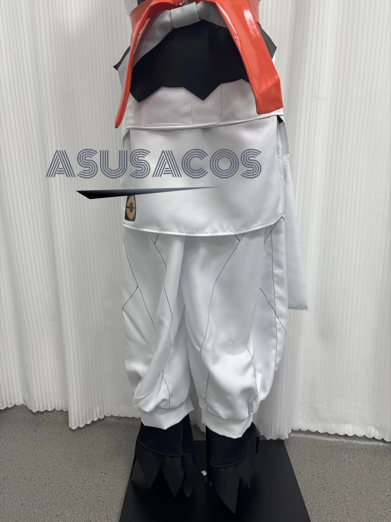 ASUSACOS 実物撮影！ポケットモンスター Pokémon LEGENDS Z-A シロー